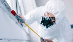 Real Estate Pest Inspections in Metter, GA